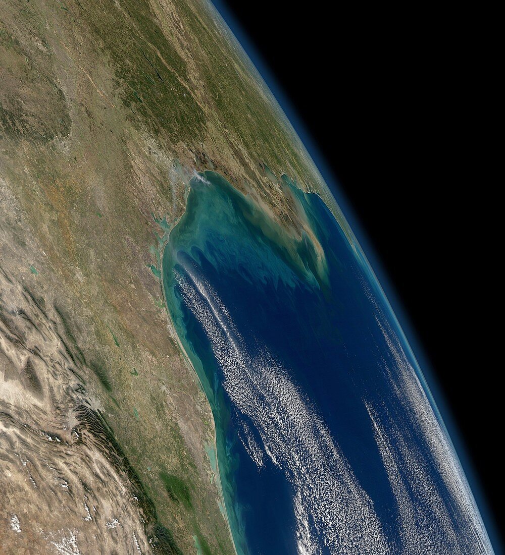 Gulf of Mexico coast,satellite image