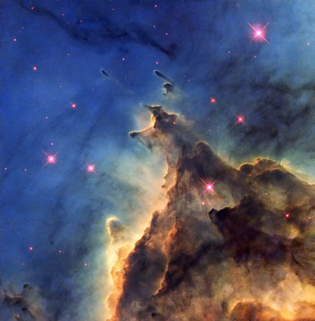 Monkey Head Nebula,HST image