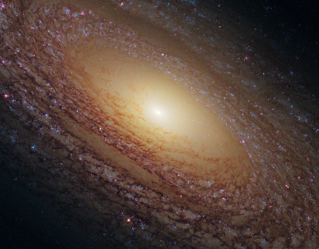 Spiral galaxy NGC 2841,HST image