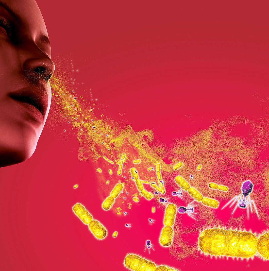 Infections spread by sneezing,artwork