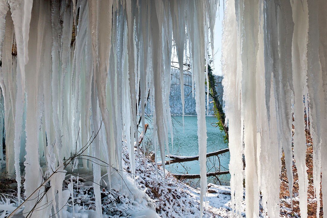 Icicles near a river
