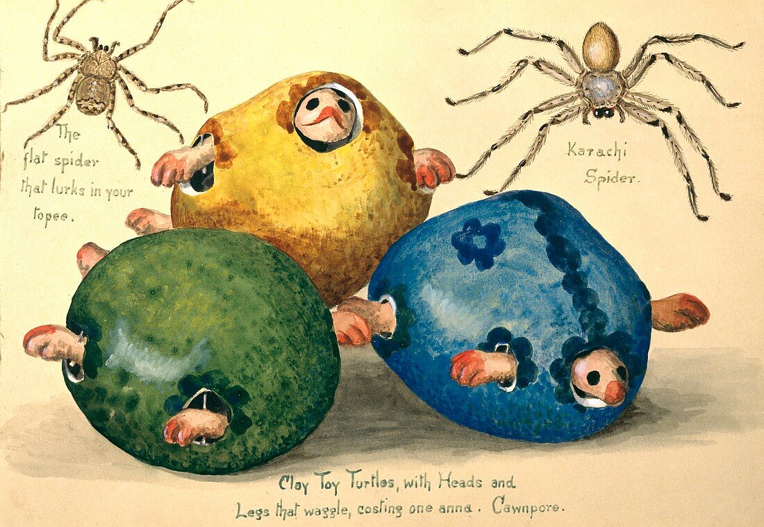 Toy turtles and spiders,20th century