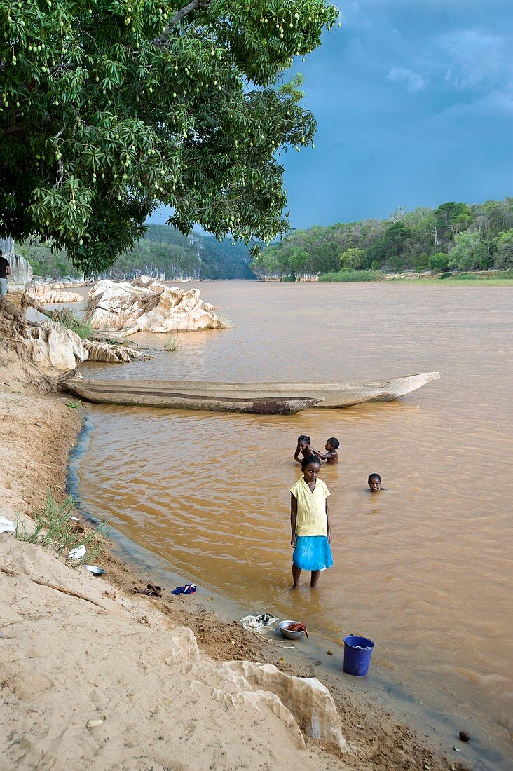 Madagascan river scene