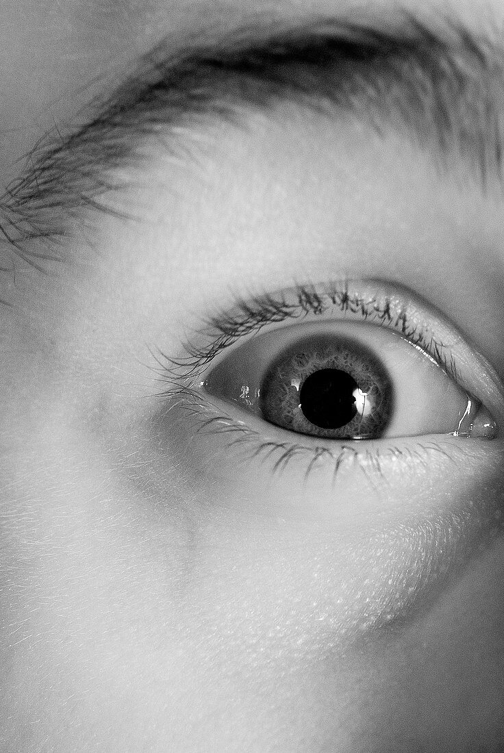 Human eye,infrared image