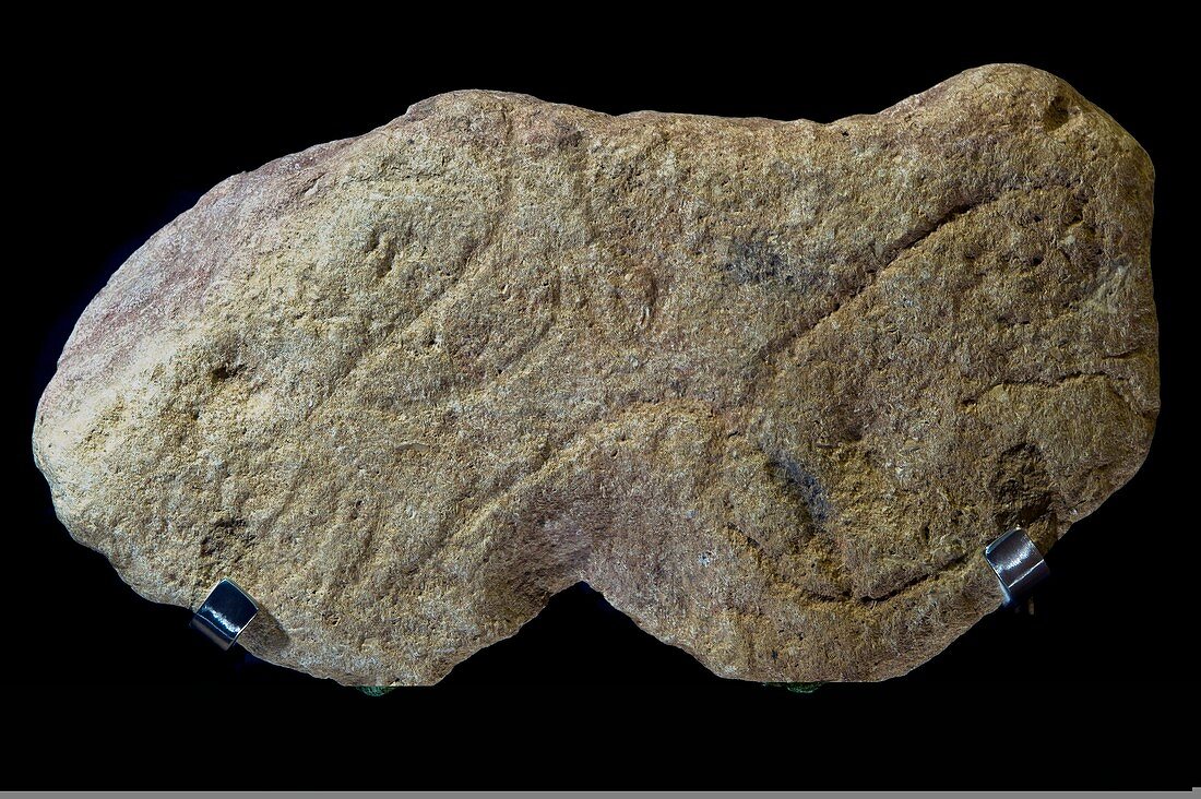 Prehistoric carving,Aurignacian culture