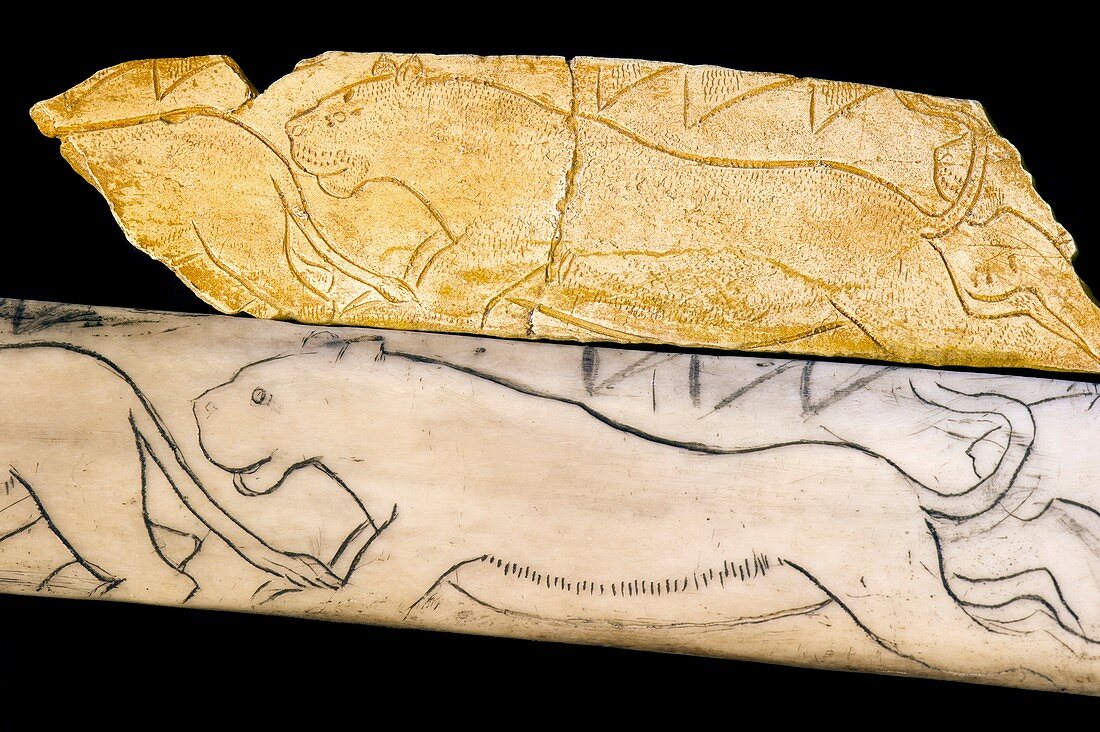 Prehistoric lioness bone carving