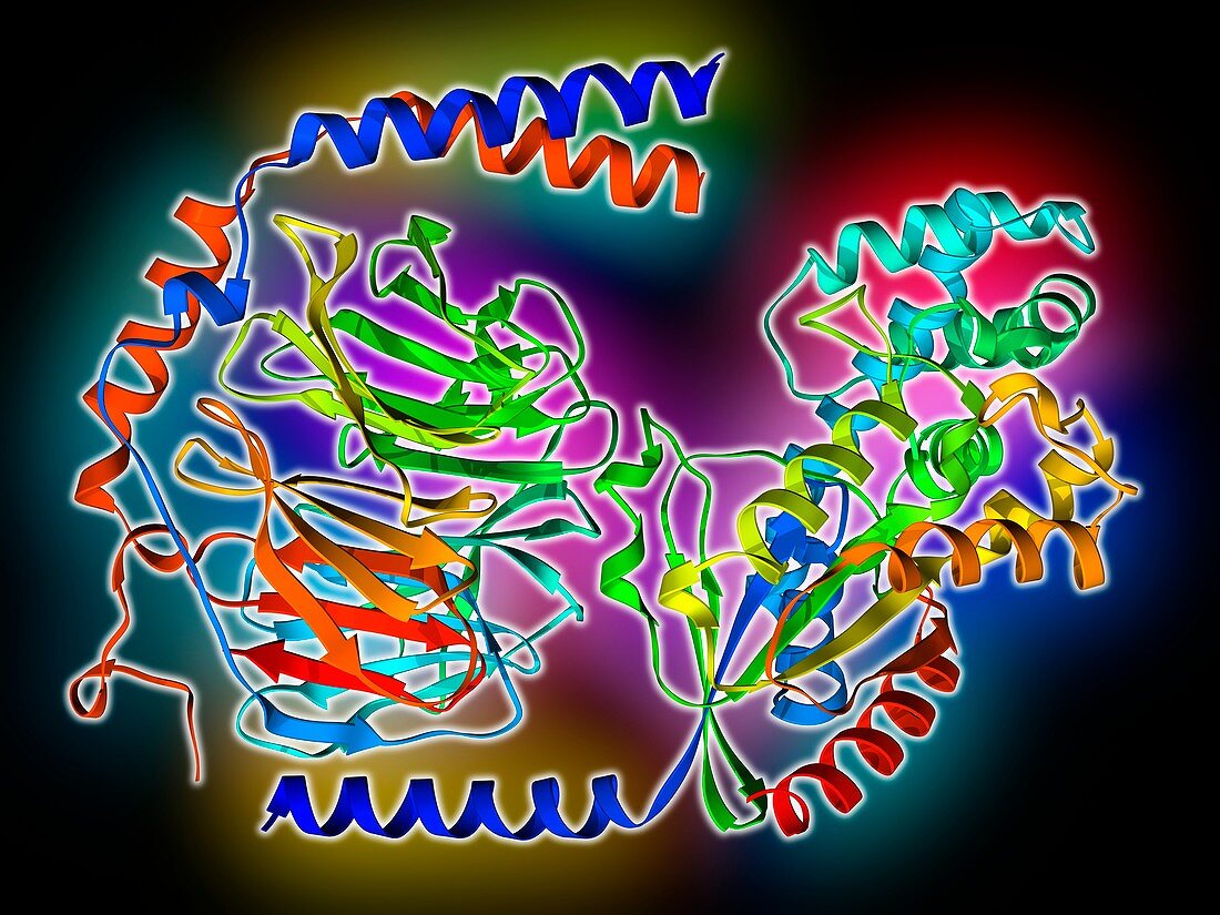 Heterotrimeric G protein complex