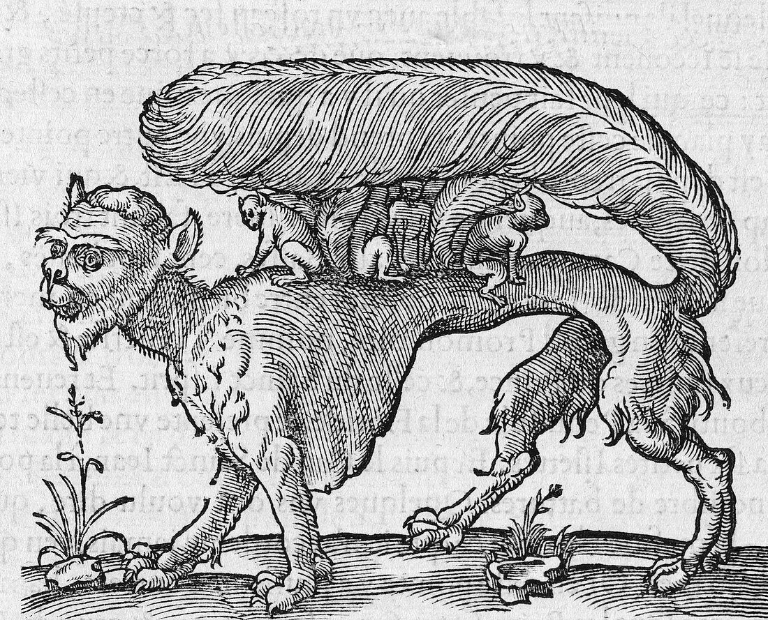 Mythical creature,16th century