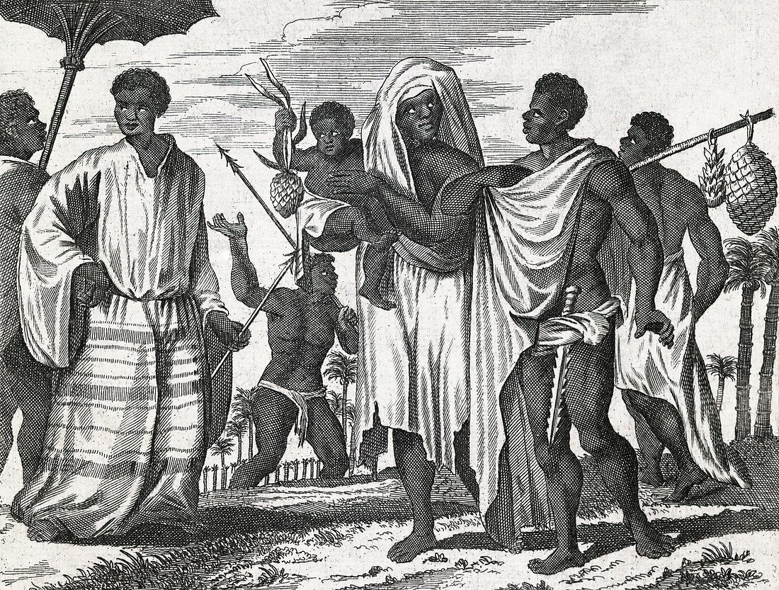 African Zenega people,17th century