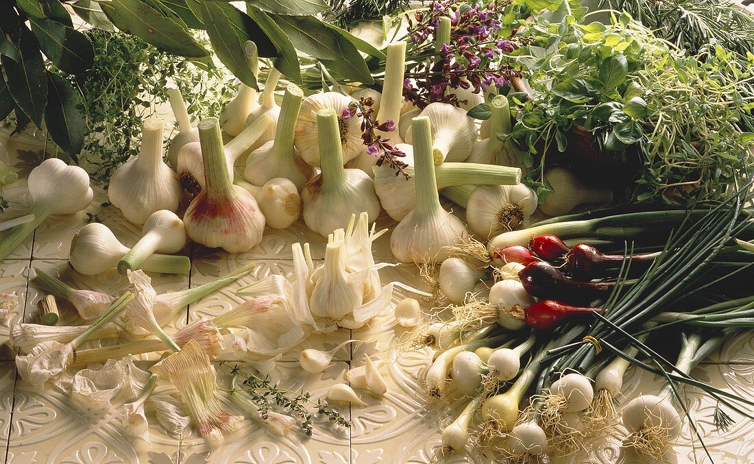 Still Life of Garlic and herbs