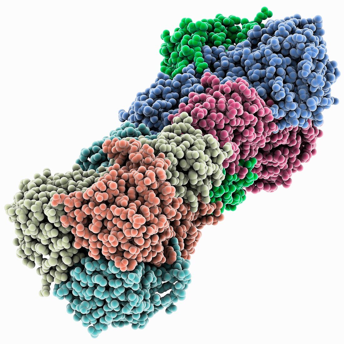 Bluetongue virus protein VP7 structure