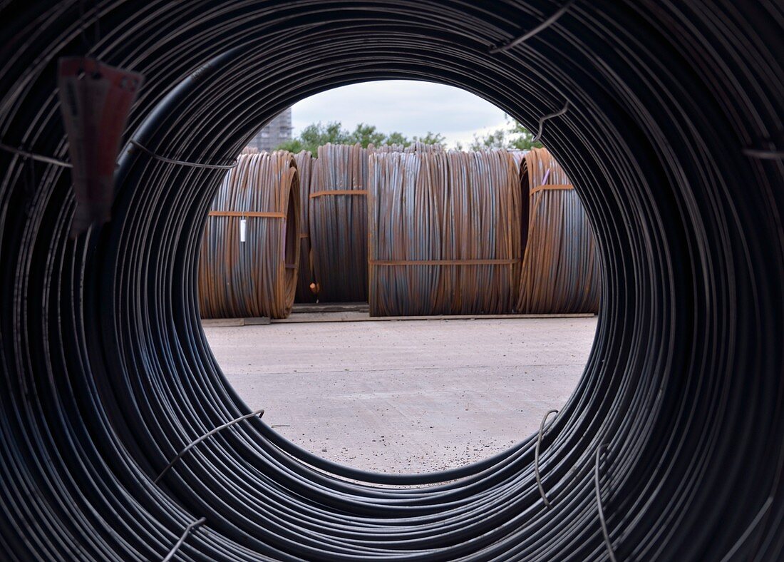 Coils of steel wire rod