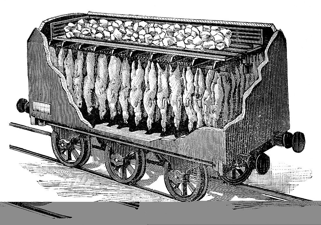 Refrigerated meat railway carriage,1890