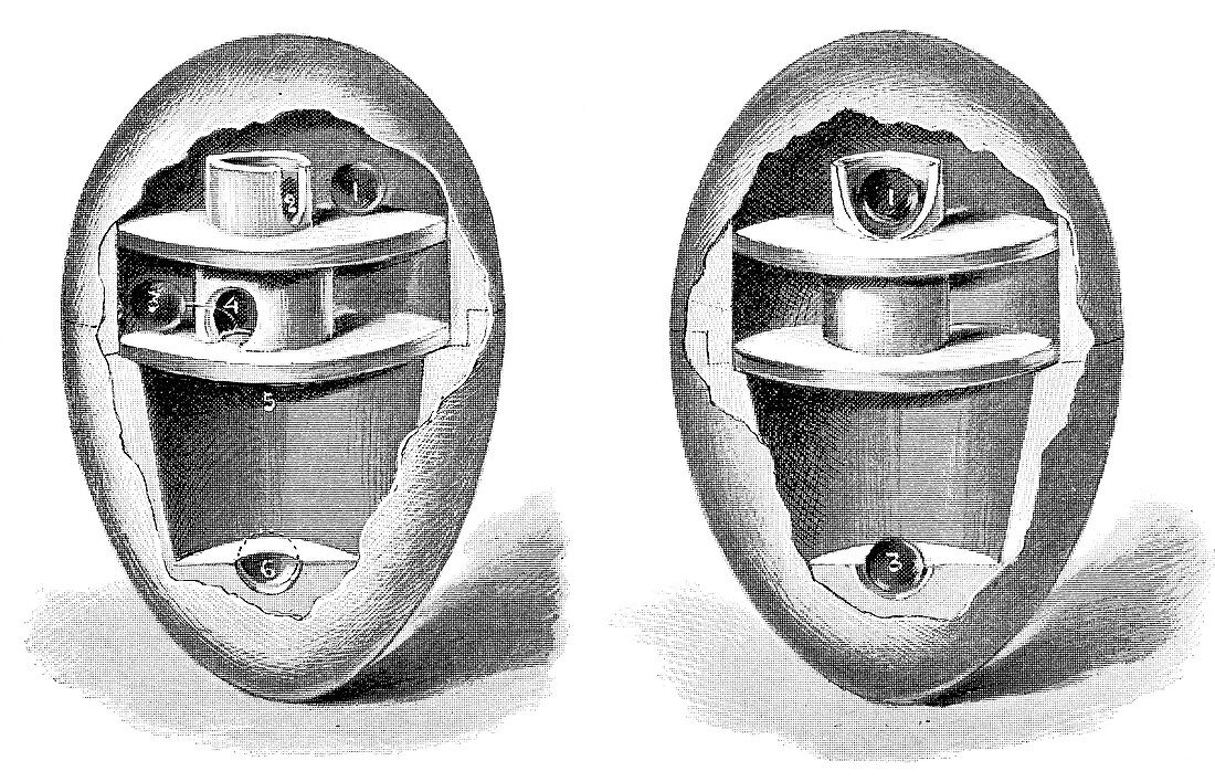 Egg-balancing toy design,1893