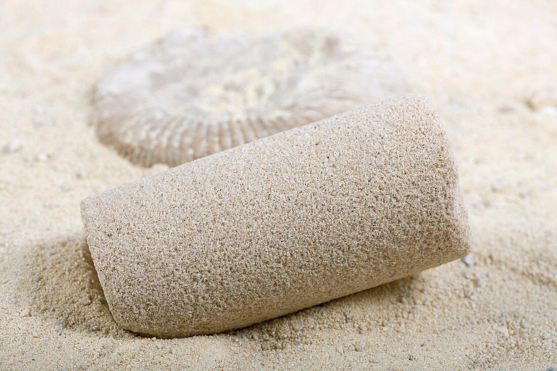Bacterially hardened sand