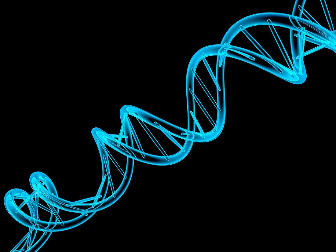 DNA molecule,artwork