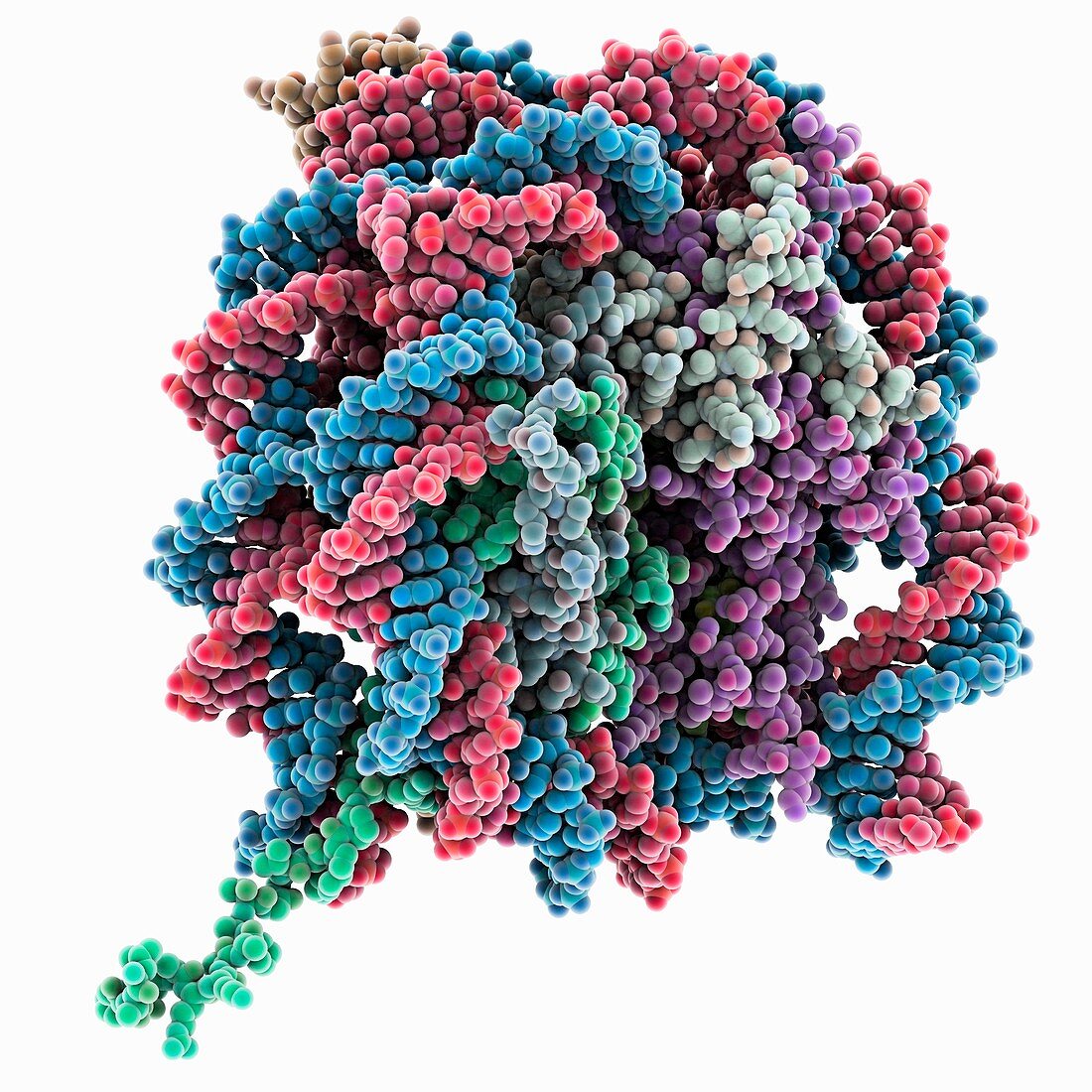 Nucleosome core particle bound to DNA