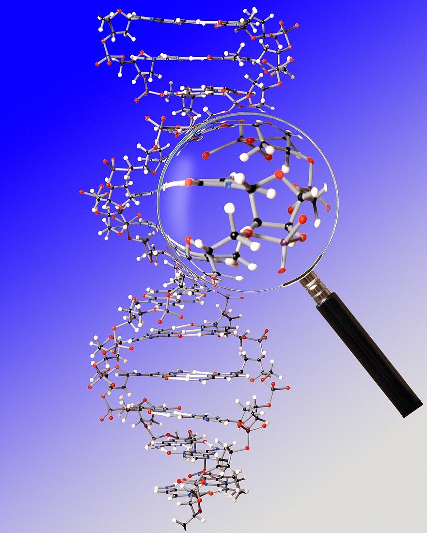 Genetic research,conceptual image