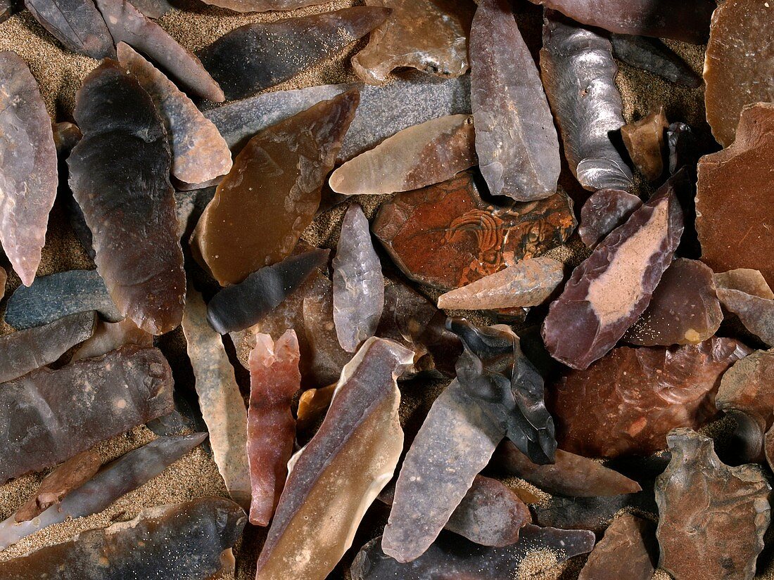 Stone-age flint fragments