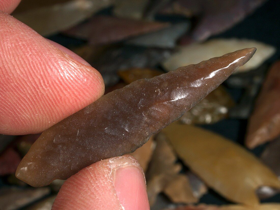 Neolithic flint arrowhead