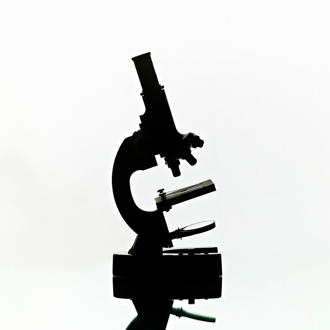 Light microscope