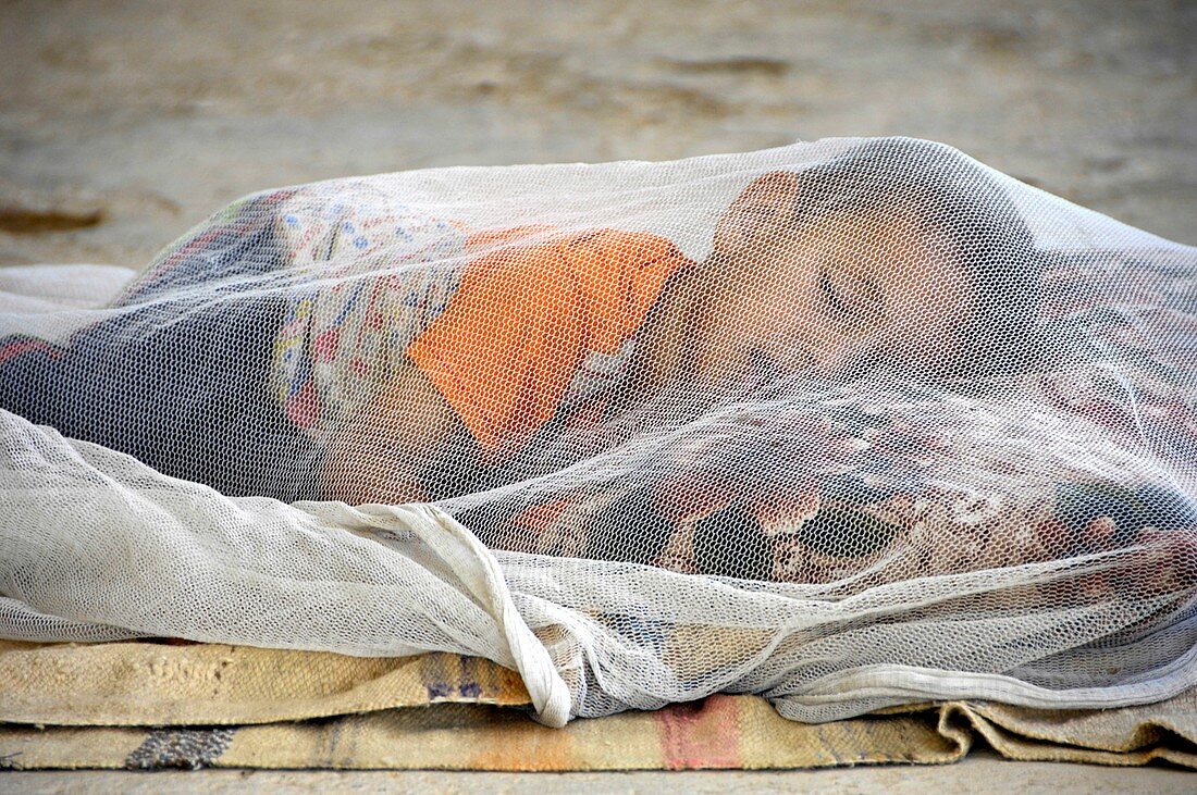 Child under mosqito net,Iraq