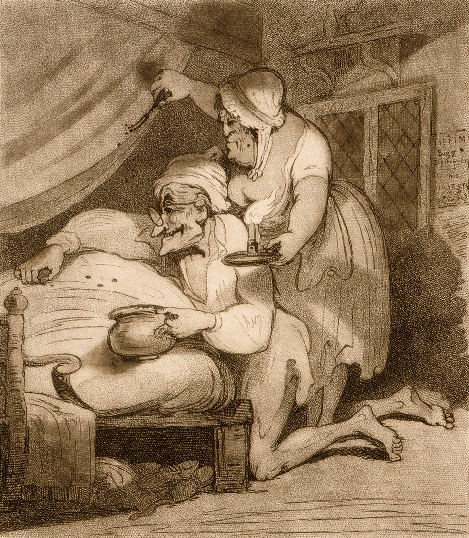 Catching bedbugs,18th century