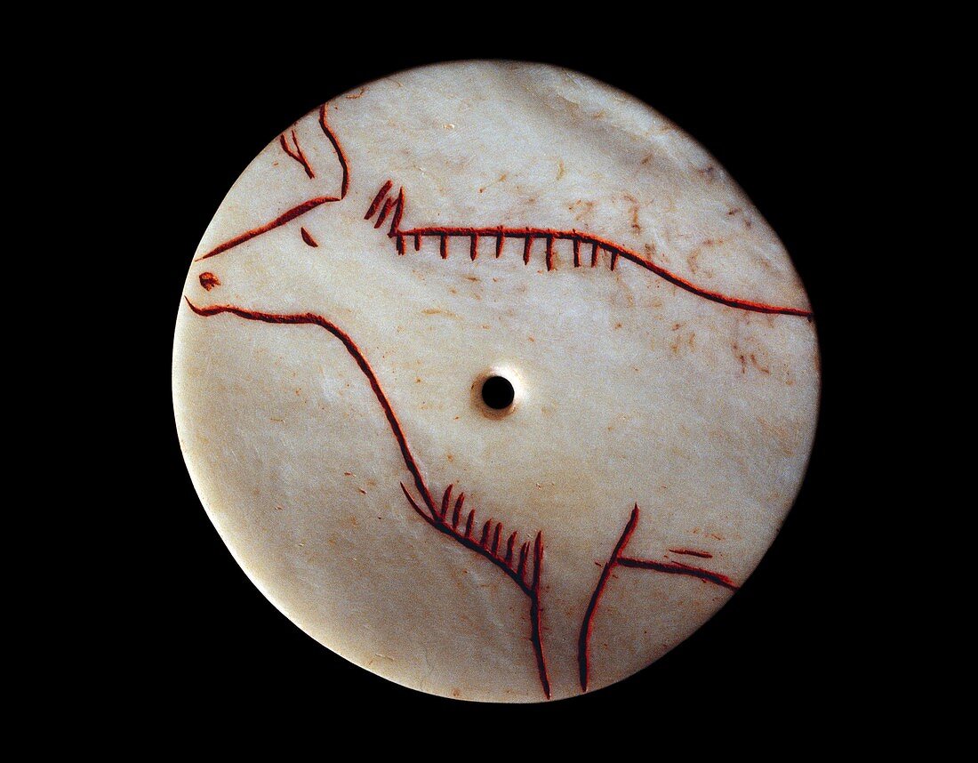 Stone Age (Magdalenian) bone disc