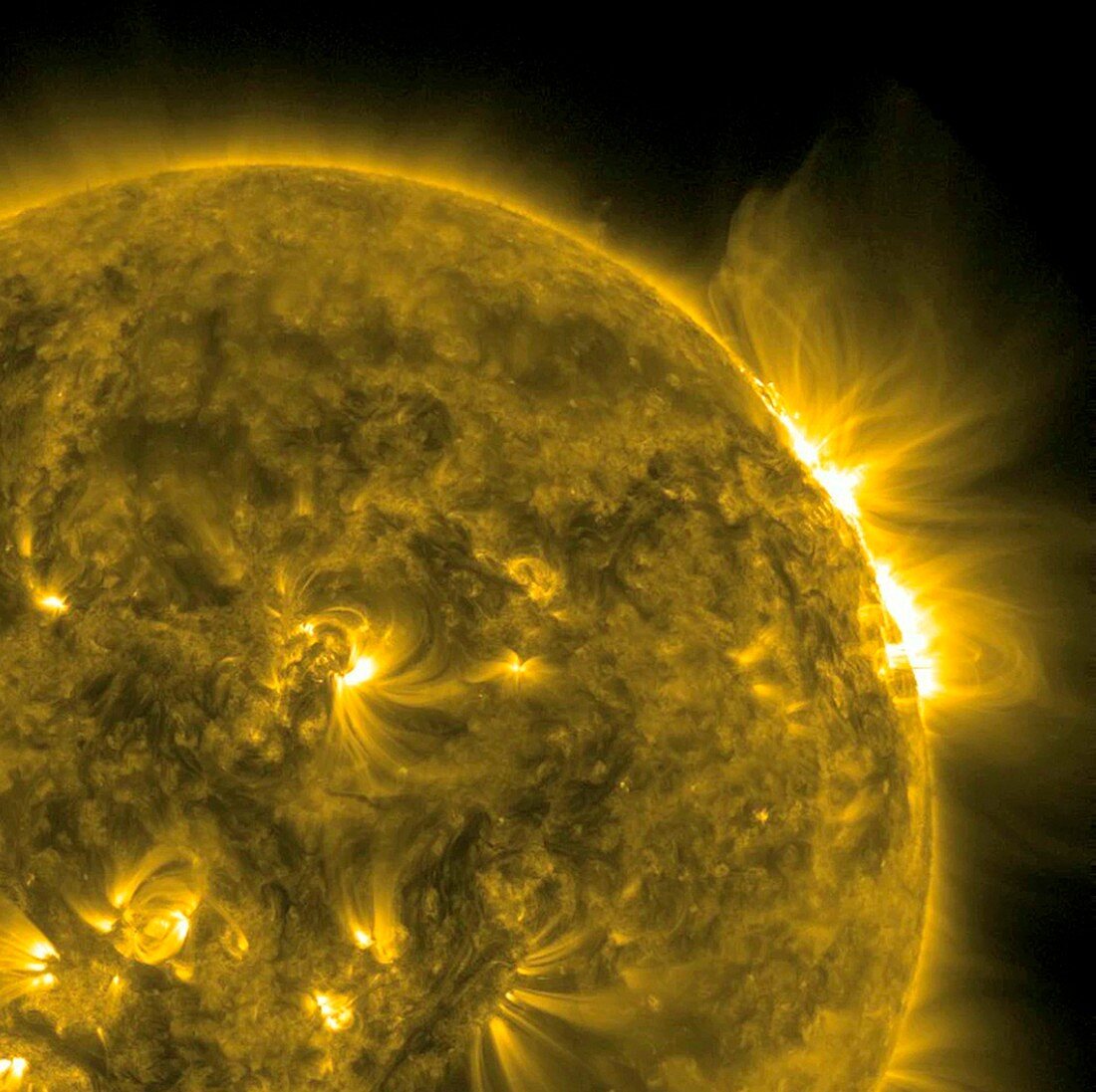 Solar flare,SDO ultraviolet image