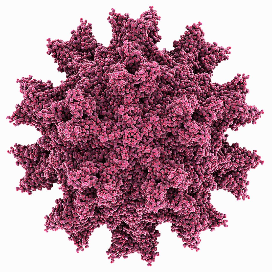 Infectious bursal disease virus capsid