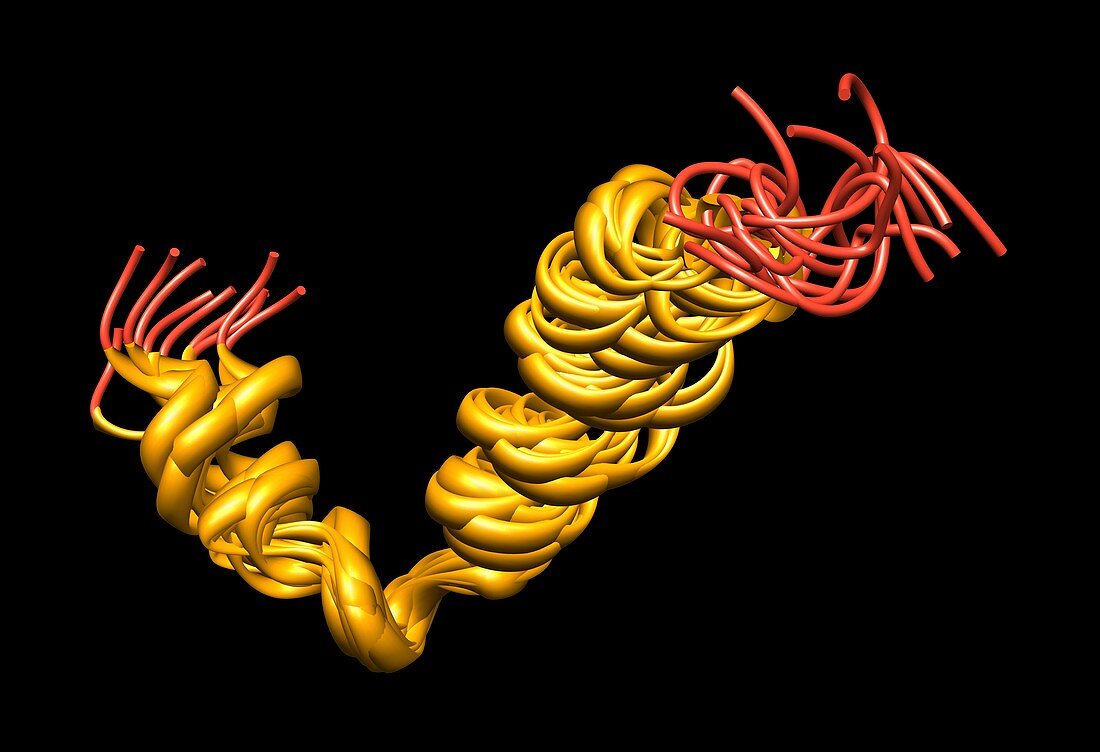 Beta-amyloid peptide molecule,artwork