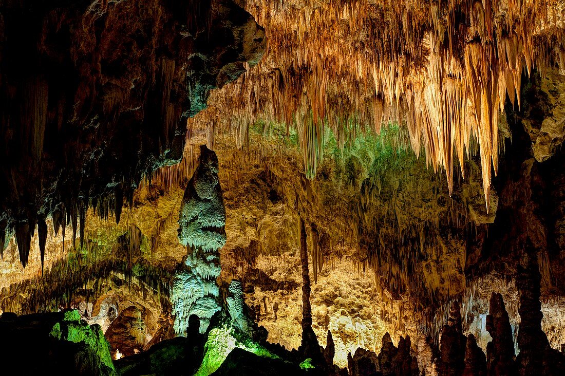 Carlsbad Caverns,New Mexico,USA