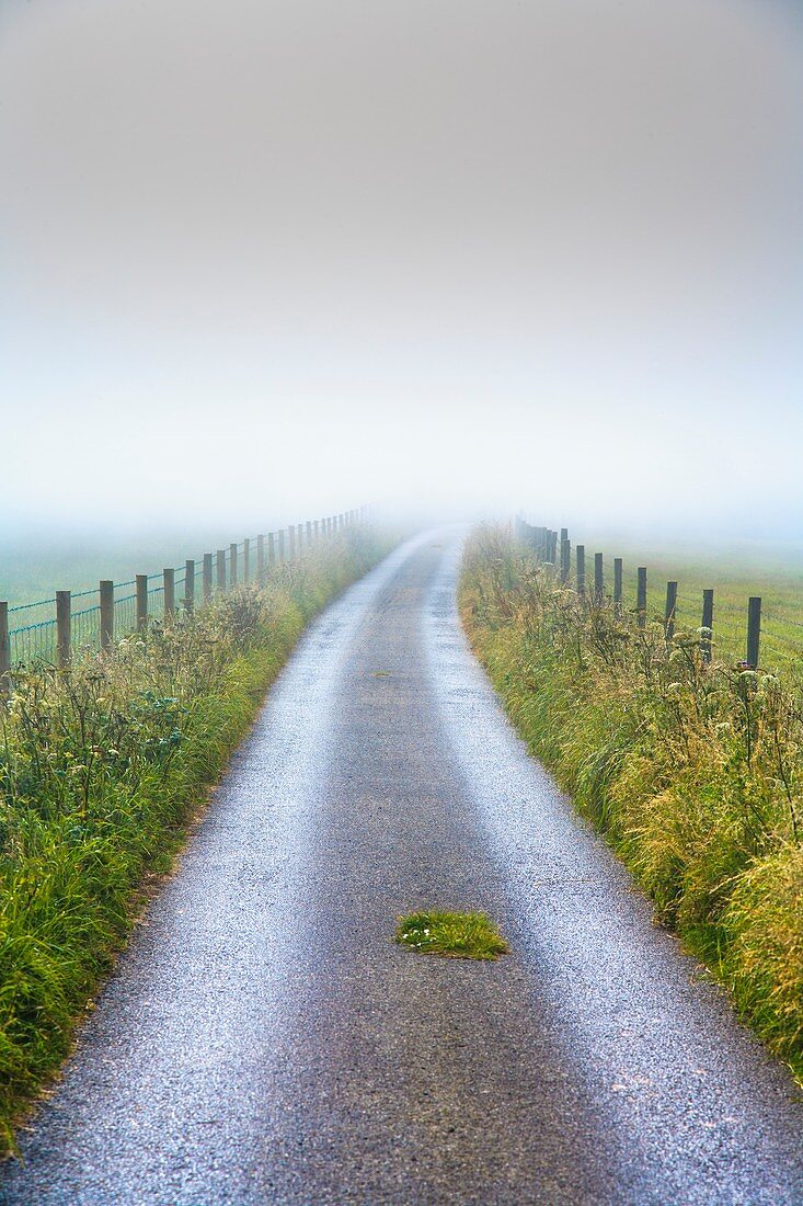 Countryside lane on a misty morning