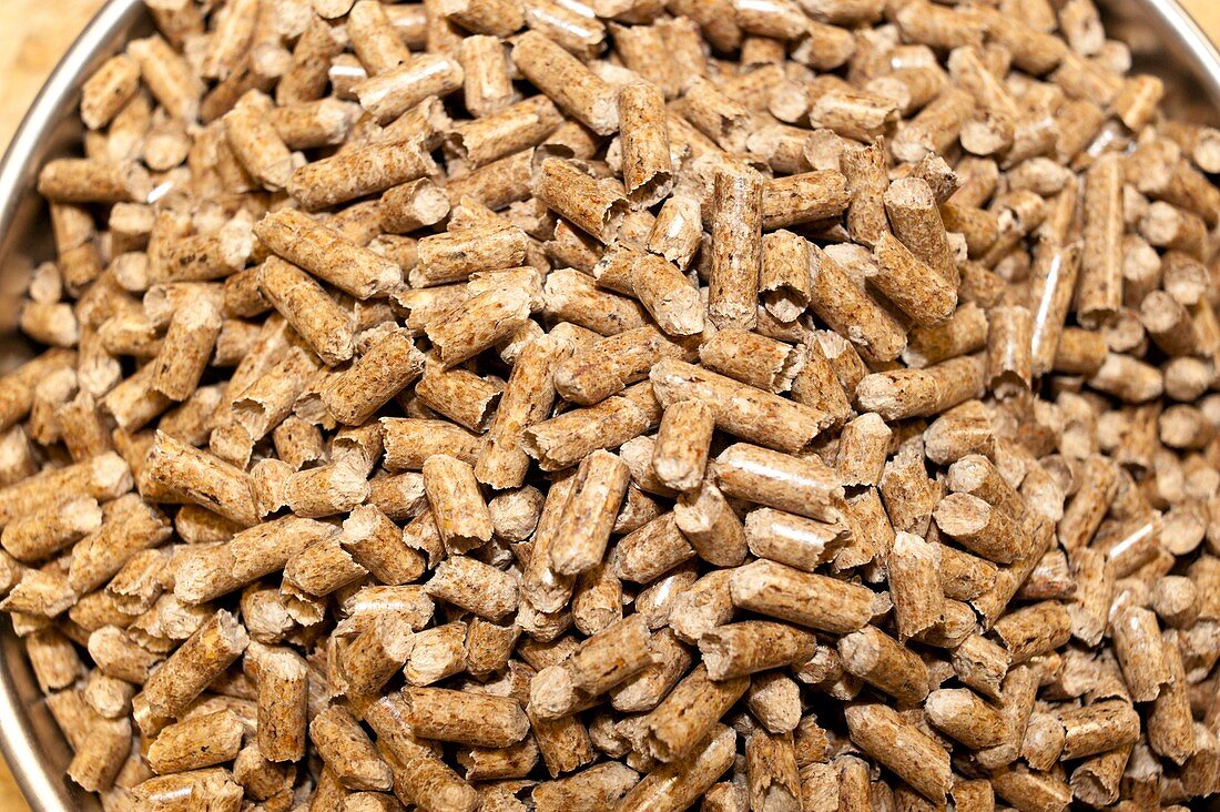 Wood pellet production