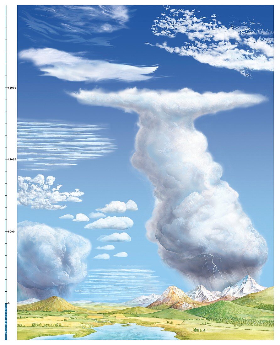 Cloud types,diagram