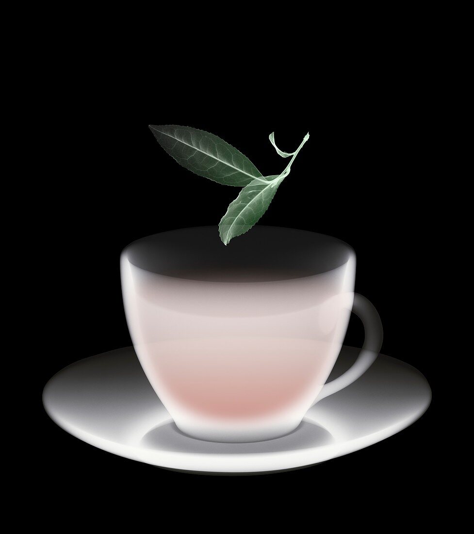 Cup of tea,X-ray