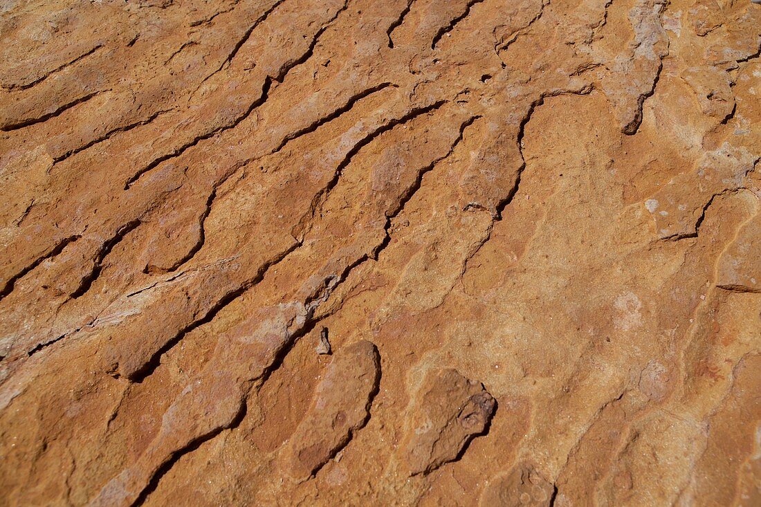 Fossilized ripples,Western Australia