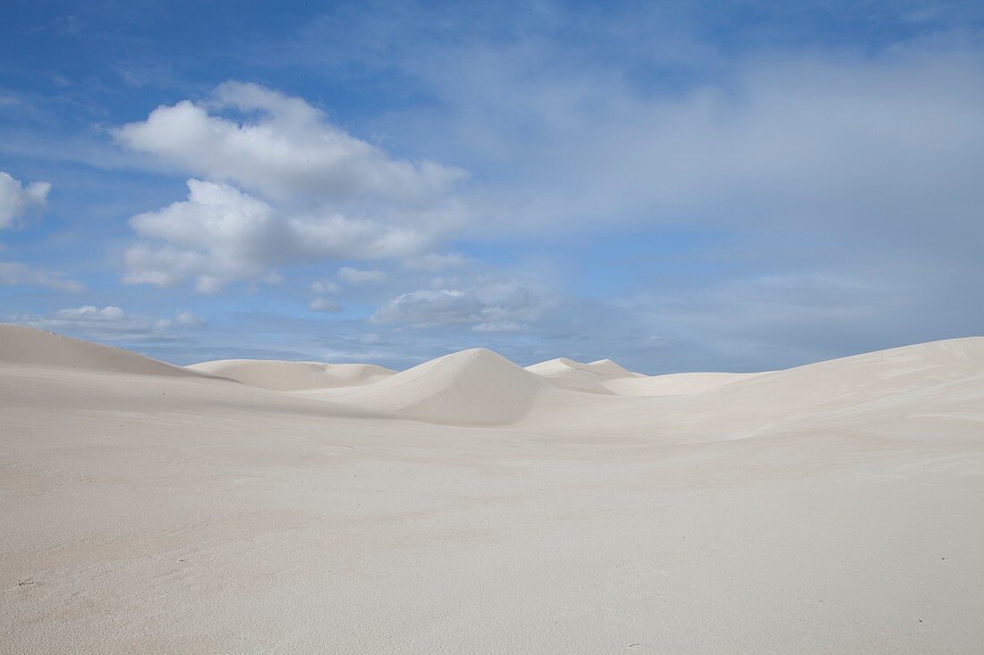 Sand dunes,Western Australia