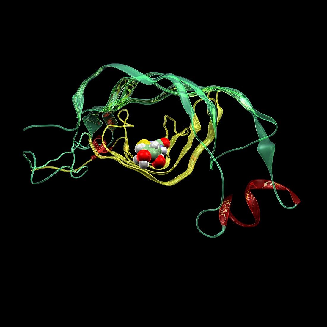 Streptavidin-biotin molecular complex