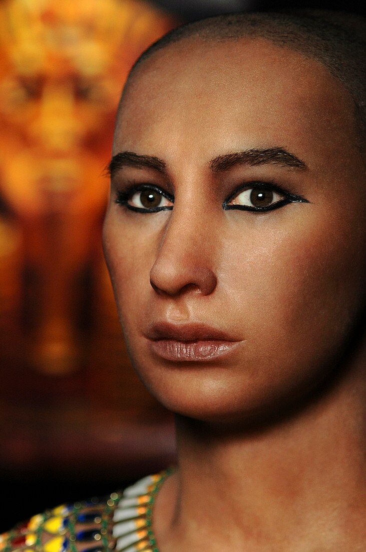 Tutankhamun,anthropological model