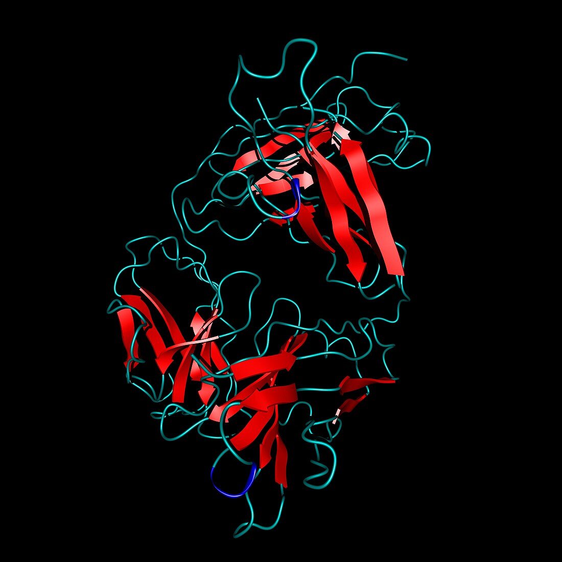 Alemtuzumab antibody molecule
