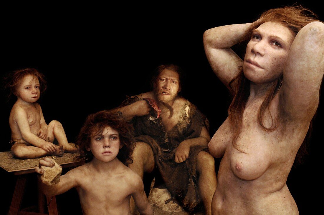 Neanderthal family,reconstruction