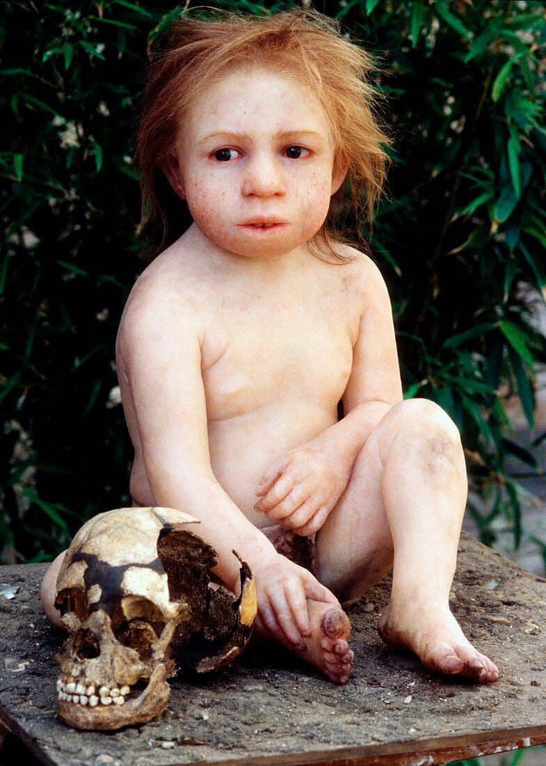 Neanderthal child and fossil skull