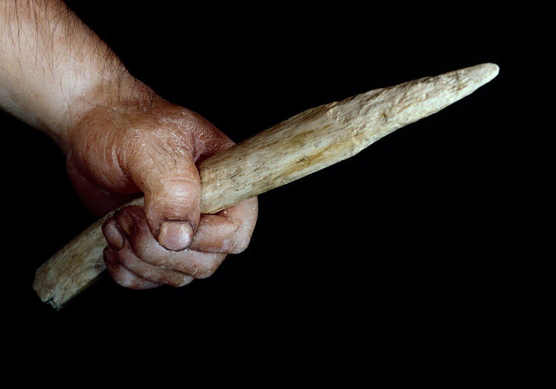 Neanderthal weapon