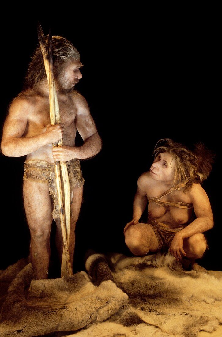 Model of Homo heidelbergensis couple