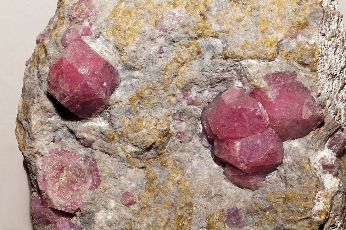 Grossular crystals in host rock