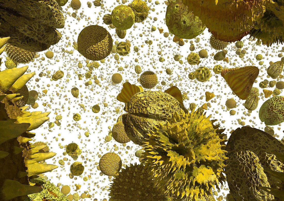 Pollen grains,artwork