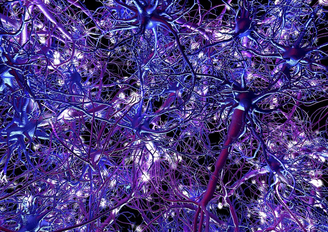 Neural network,artwork