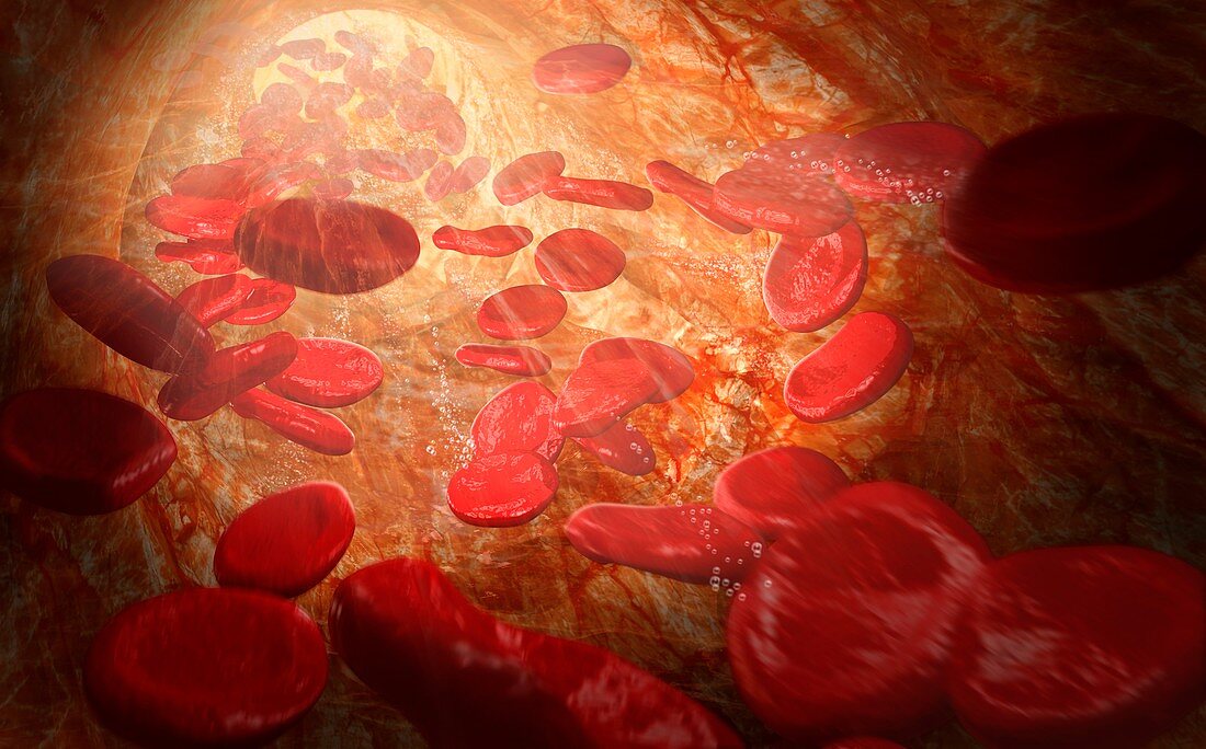 Red blood cells,artwork