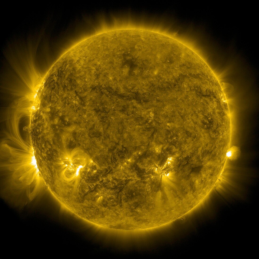 Solar activity,SDO ultraviolet image